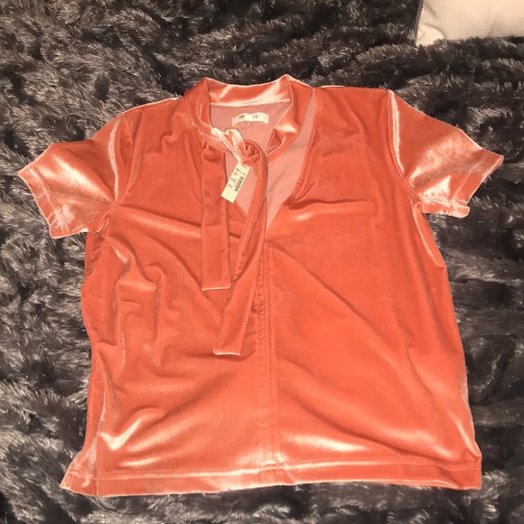 Madewell Coral Velvet T-shirt with Tie - Picture 4 of 6